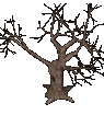 ͂